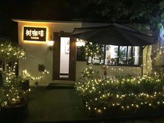 -树咖啡tree coffee