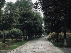 -月湖风景区