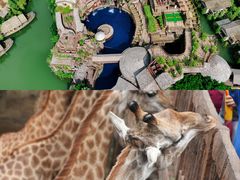 -长鹿旅游休博园