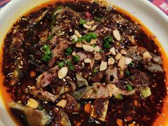 -铁公鸡·四川料理(天环广场店)