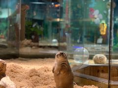 -昆明大悦城未来动物城(螺蛳湾中心店)