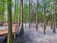 -东湖落雁景区