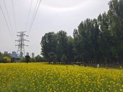 -长白岛森林公园