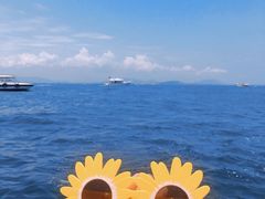 -三亚蜈支洲岛旅游区