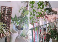 -Jo's Garden