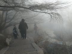 -崂山巨峰游览区