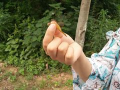 -南京金牛湖风景区