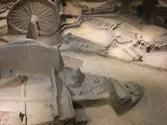 -洛阳周王城天子驾六博物馆