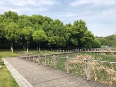 -月湖风景区