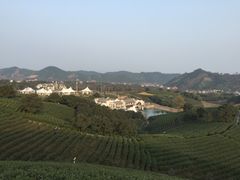 -帐篷客·溪龙茶谷度假酒店