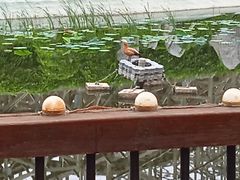 -郑州方特梦幻王国