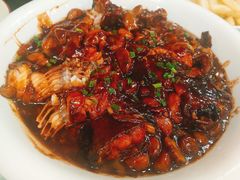红烧长江鮰鱼-吴记小园楼(南园路店)