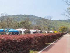 -龙寺生态园