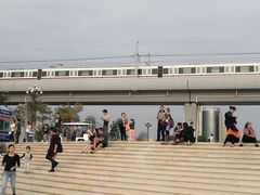 -宝安西湾红树林湿地公园