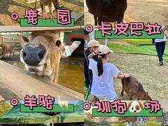 -盈香心动乐园