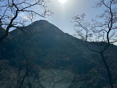 -泰山风景名胜区