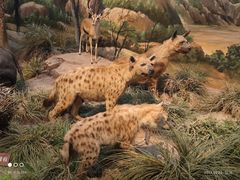 -陕西自然博物馆