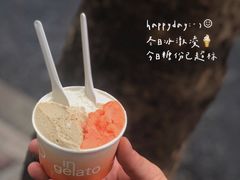 -Dip in Gelato(富民路店)