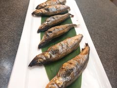 -禾绿寿司·定食·拉面·烧炸(喜荟城店)