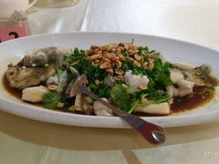 清蒸鲈鱼-宝园酒家(美林M·LIVE天地东座店)