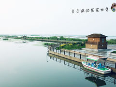 -呼兰河口湿地公园