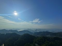 -大金鹰园