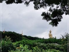 -西双版纳勐泐文化旅游区