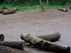 -西湖风景区-江洋畈生态公园