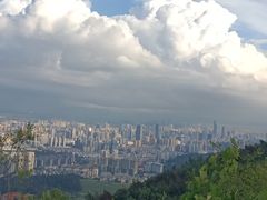 -长虫山生态公园风景林