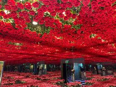 -梵高星空艺术馆(北京旗舰店)