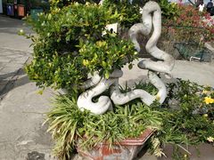 -胡里山炮台