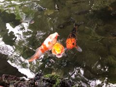 -侯臣咖啡文化村