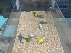 -怪兽屋·羊驼·猫咖·狗咖(俊华广场店)