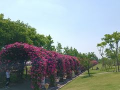 -广富林郊野公园