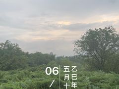 -滨河世纪广场公园