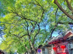 -北京国子监胡同