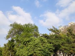 -万泉公园