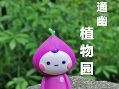 -杭州植物园