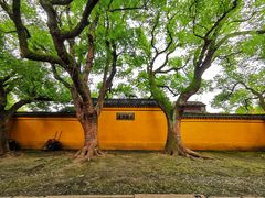 -西园戒幢律寺