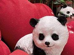 -西安电影制片厂