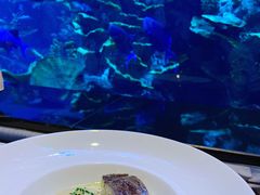 -迪拜帆船酒店海底餐厅