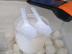 -洪馨椰子