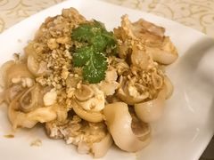 -百利鸽王(紫薇路店)