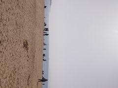 -青岛第一海水浴场