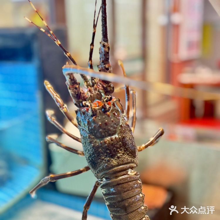 来连云港吃海鲜推荐豪爵！！！