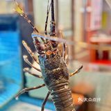 来连云港吃海鲜推荐豪爵！！！