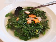 -黄埔华苑酒家(黄埔店)