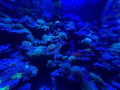 -太平洋海底世界