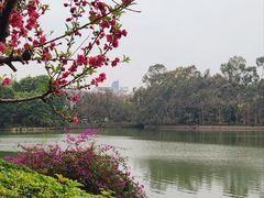 -西湖公园(鼓楼区)