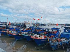 -沈家门海鲜夜排档(东港店)